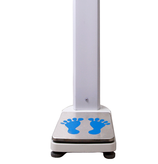 �O����y�������z�y